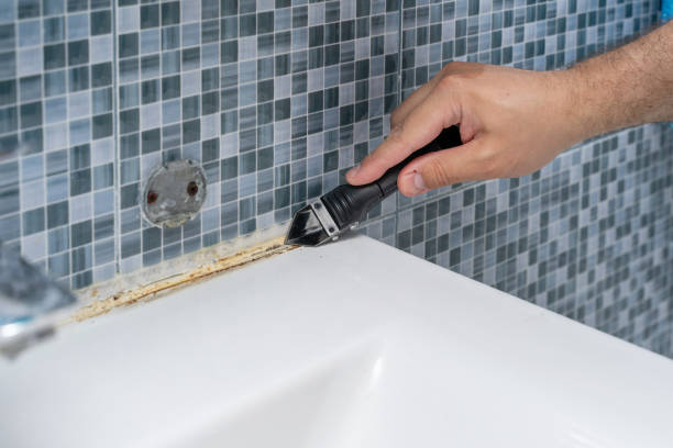 Best Attic Mold Removal  in Pho, IL